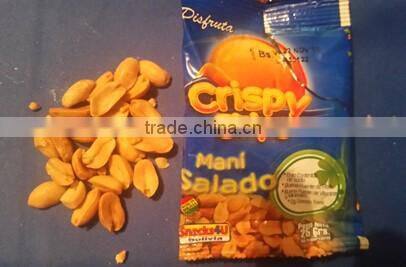 Best-selling Commercial Continuous Gas fryer