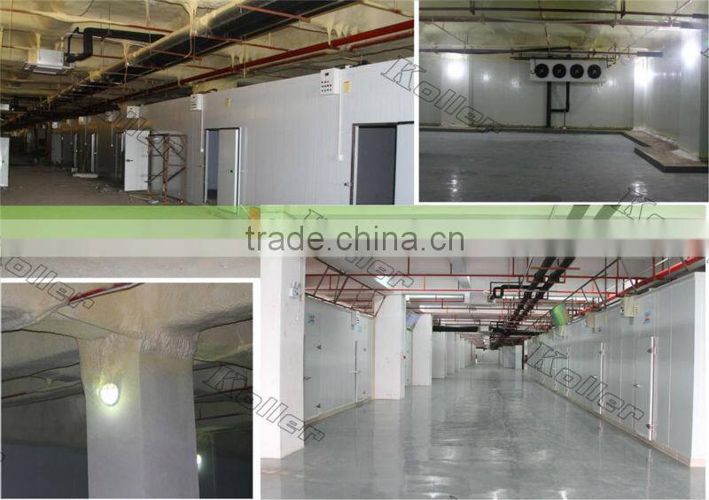 walk in Koller freezer cold room for fishery