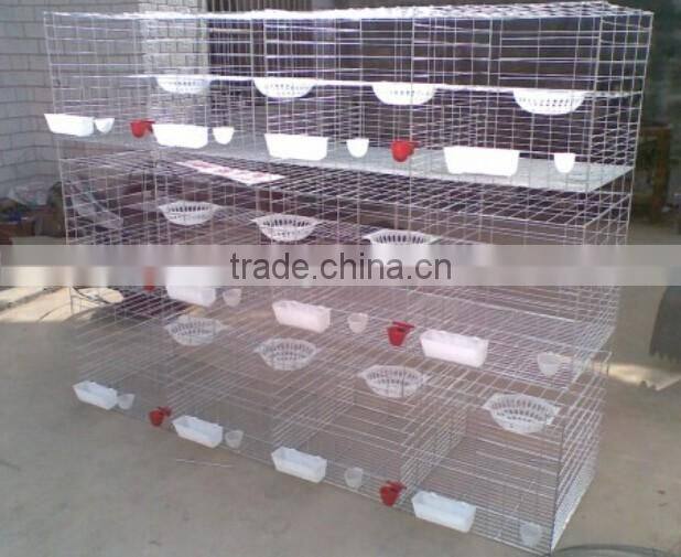 Cheap Mini 56 egg incubator Automatic ZH-56 mini egg incubator for sale