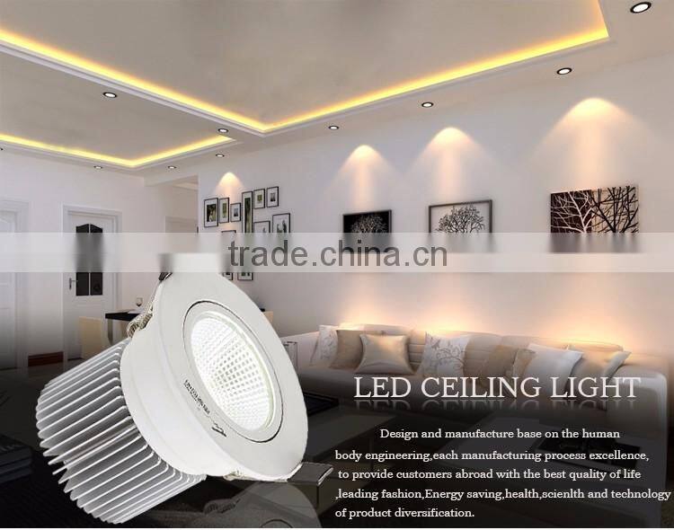 Professional OEM/ODM Factory Supply cob 5w par 16 led spotlight