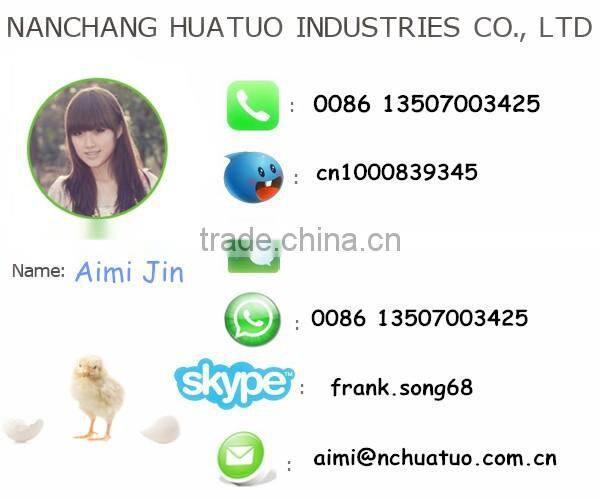 high quality stainless steel racing pigeon feeder , automatic pigeon feeder