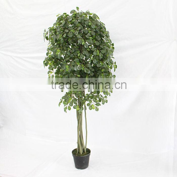 make artificial money tree plant