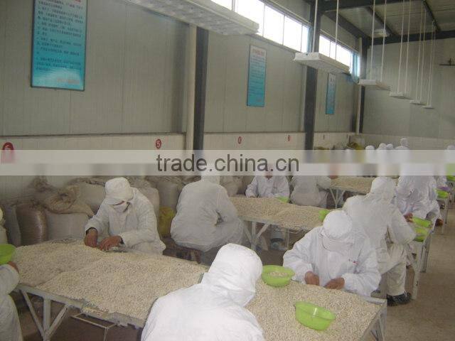 2014 Chinese white kidney bean with cheap price