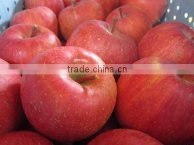 Delicious Komitsu Fuji apple , other fruits also available