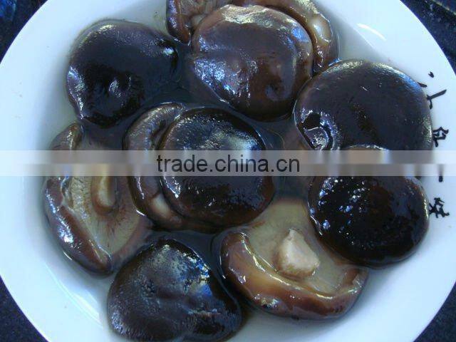 Can (Tinned) Packaging canned mushroom brands