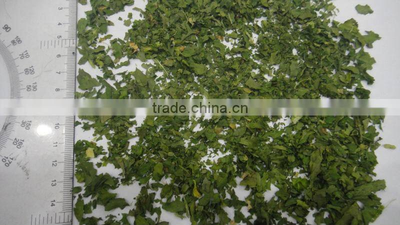 2014 dehydrated celery leave