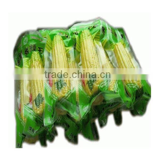 high efficiency and professional double chamber vacuum packing machine