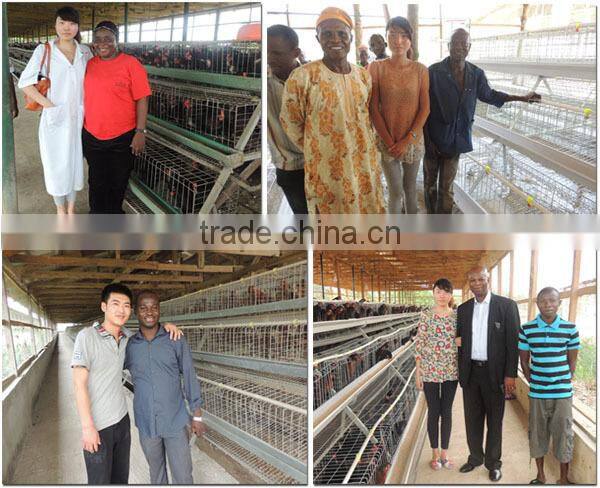 TAIYU Chicken Farm for 10000 Chickens and Design the Farm for You Freely