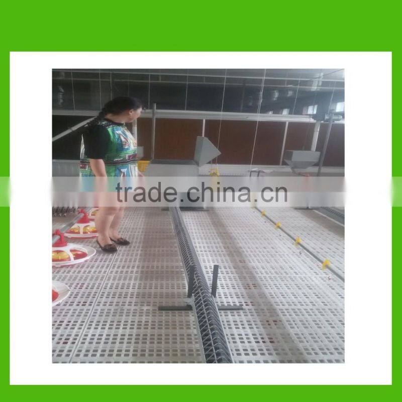 Automatic poultry pan feeding system for broilers and breeders cheap strong very much