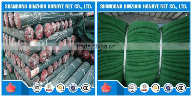Hot Sale!free sample Warp knitted green safety net