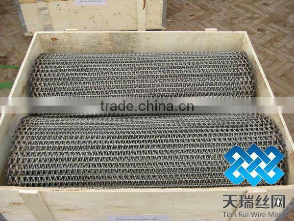 TIANRUI Conveyor Belt wire Mesh with super quality