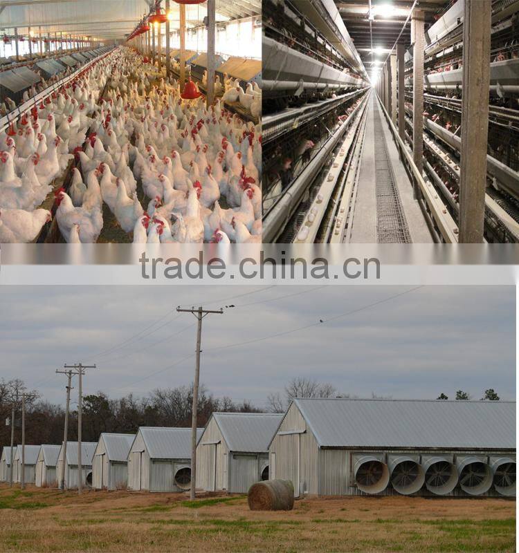 Light Gauge Steel Frame Chicken Farming House