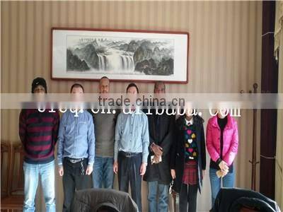 Automatic Concrete Pole Feedng Machine