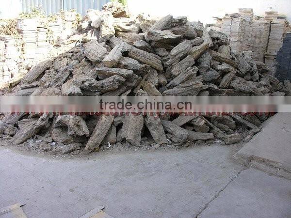 NATURAL STONE PETRIFIED WOOD TILES SLABS