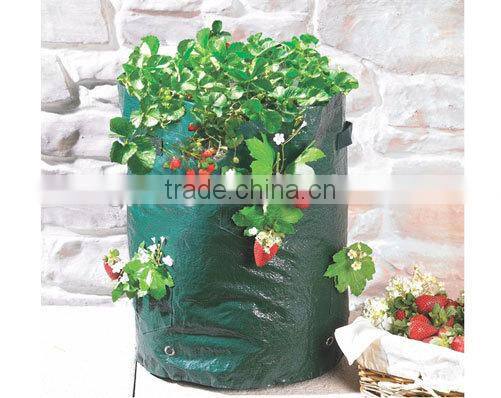 Popular PE Strawberry Planter Bag,Grow Bag