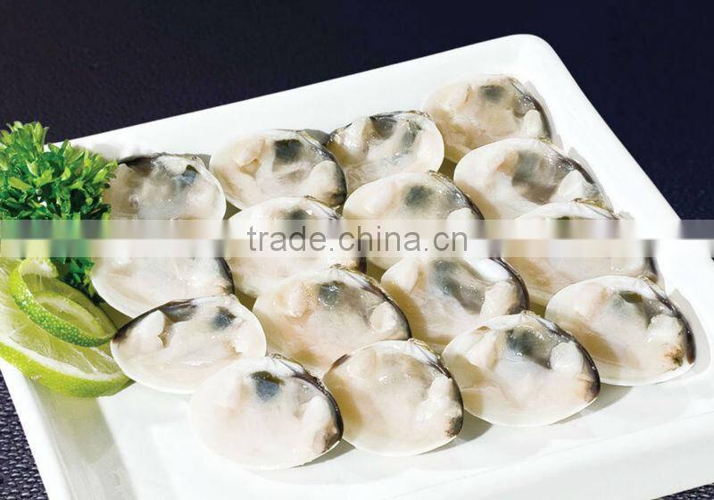Frozen cooked white clam shell on