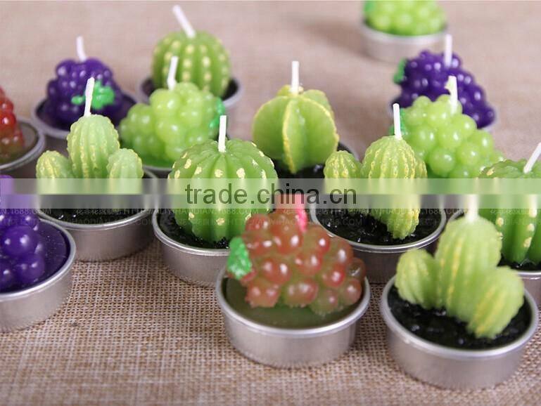 Cactus and Grape Plant Birthday Scented Candle