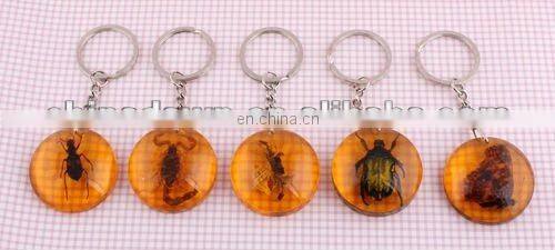Luminous Real Insects Amber Keychain with Scorpion