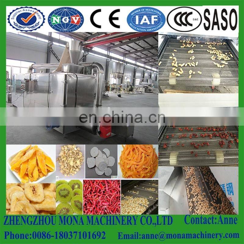 Automatic Gas/Multi-layer Conveyor Mesh Belt Dryer/tunnel food drying oven /machine for fruit and vegetable dry