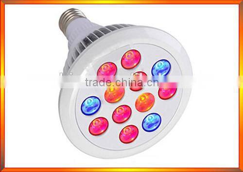 seeds coca LED Grow lamp for green house
