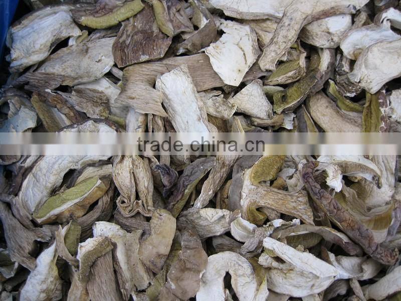High quality boletus magic dried mushroom slices from yunnan