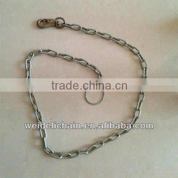 Steel Animal Chain with Factory Price
