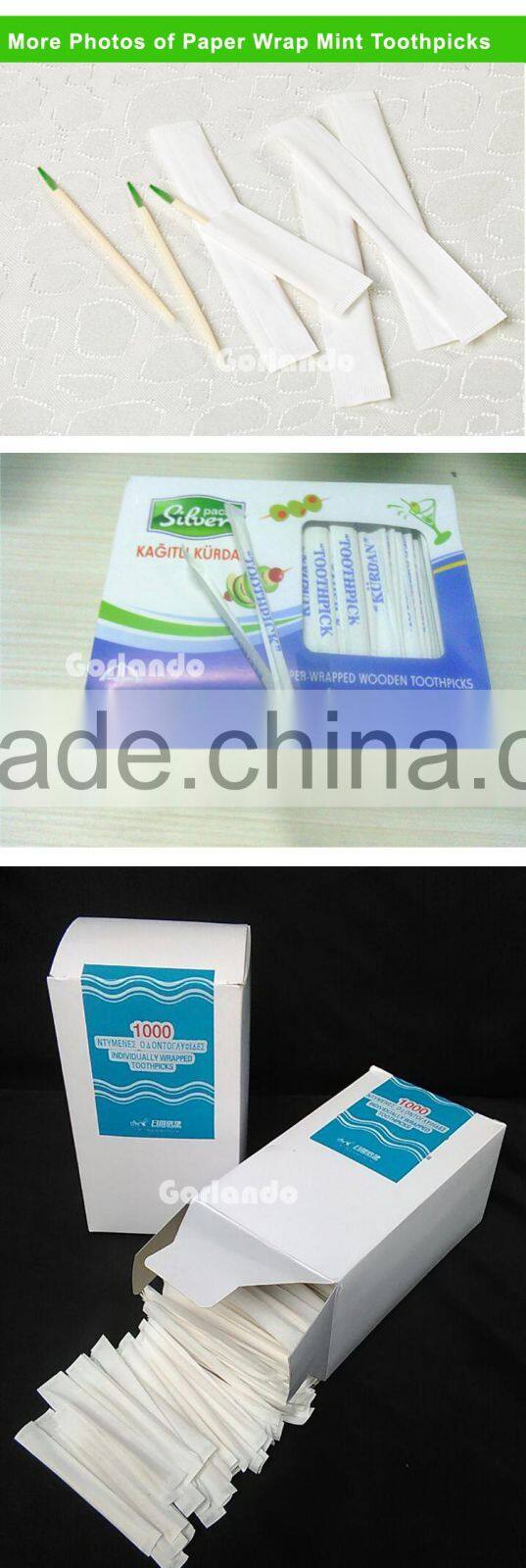 Individual paper wrapped mint tooth pick