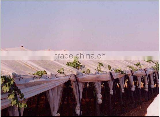LDPE plastic rain cover for grape vineyard and orchard