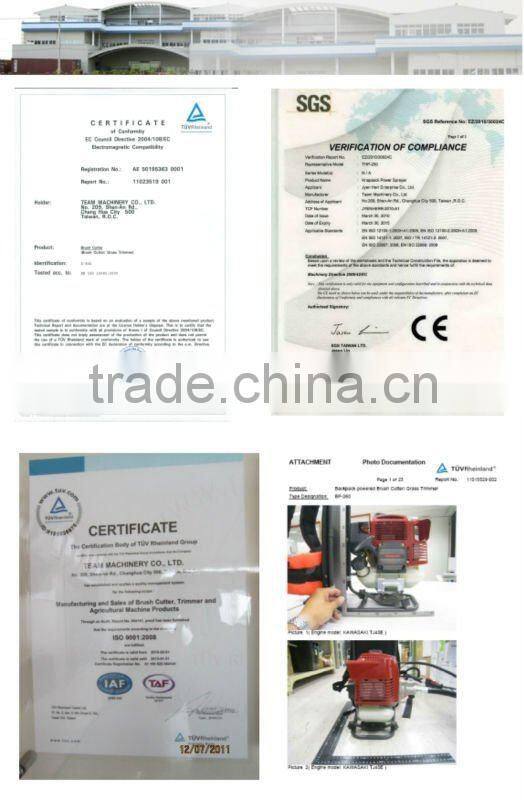 Gasoline Pole Chainsaw