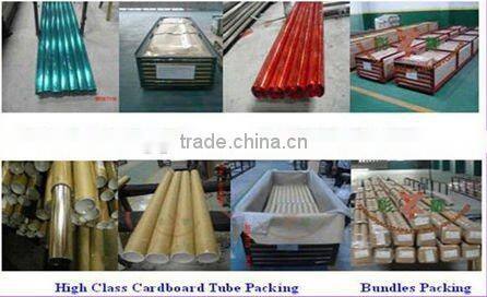 stainless steel balustrade/handrail/balcony railing