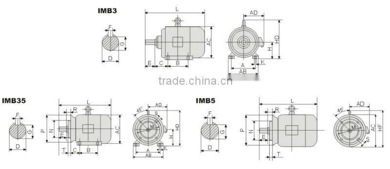 Most Sellable Y Induction Motor 100% Delivery On Time Rate