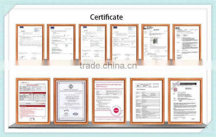 Mangnetic Trainer High Cost Elliptical Exercise Bike With Pulse