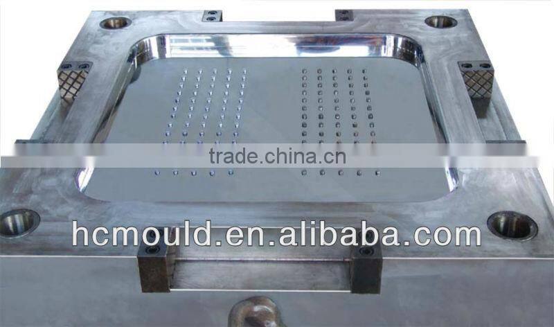High quality SMC train inspection panel mould