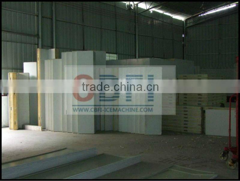 large size fish -25 centi degree Cold Storage room with CBFI installation