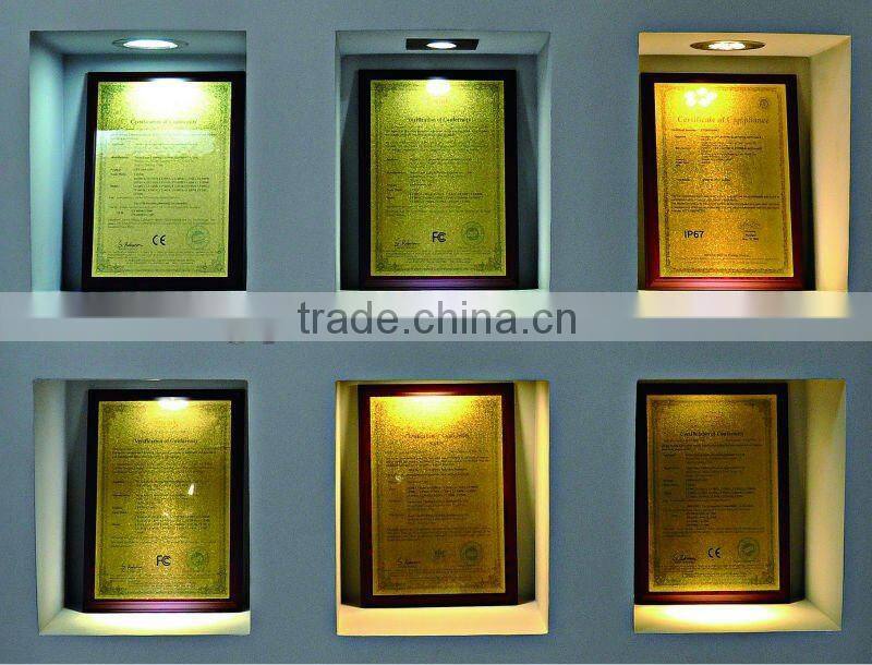 316 stainless steel body 240V/120V/12V Suit 3x1W/5x1W/5x2W for outdoor wall mounted led light