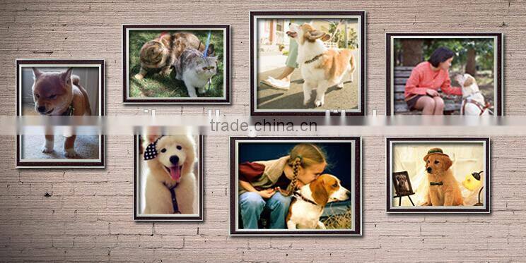 Fashion Diamond Studded Leather Dog Collar With Nice Colour;diamond-studded Leather Dog Collar and leash;dog collars and leashes