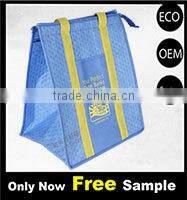Outdoor fitness nonwoven insulated lunch bag cooler bag CB-036