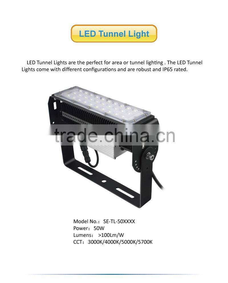 High Lumen Module High Power 50W Waterproof LED Tunnel Light