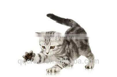 silicone dog mat & cool gel pet mat & dog beds with removable cushion