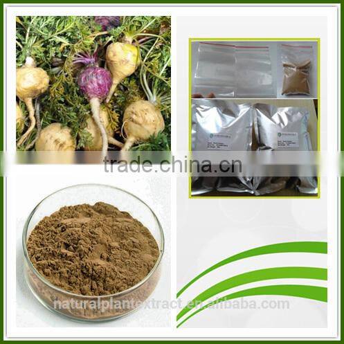 Pure natural maca root powder