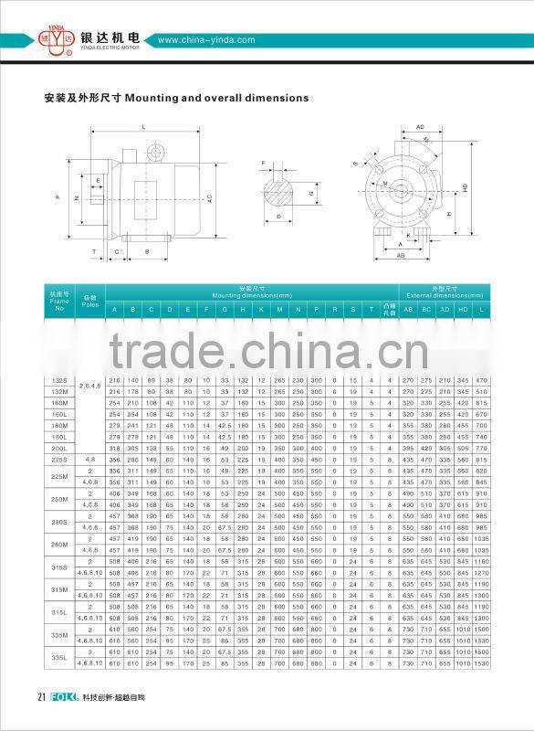 YVP Series Three Phase Induction 3 hp Electric Motor