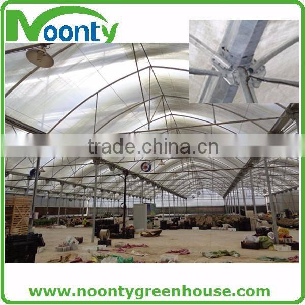 Spanish Style Film Greenhouse