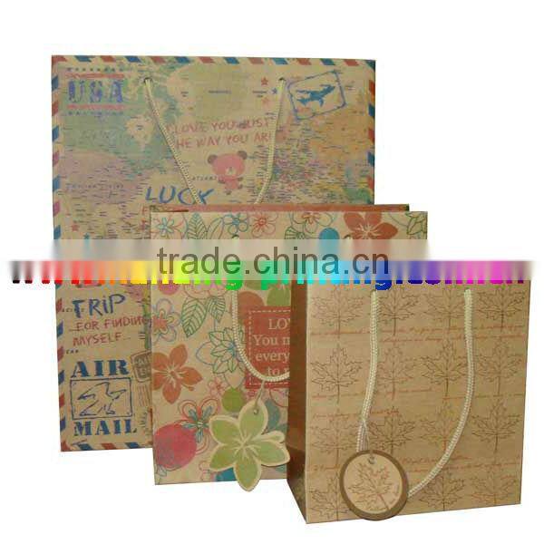 Suppy custom paper bag 2013