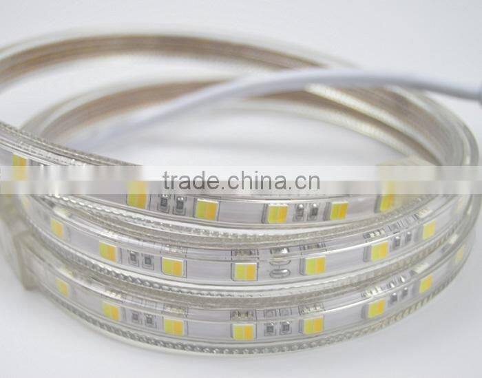 220v high voltage 5050 / 5025 dual white led strip