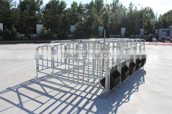 pig farming breeding equipment/ gestation cage/pig cage/Monomer sty/pig stall/sow single stall/nursery stall/farrowing cage
