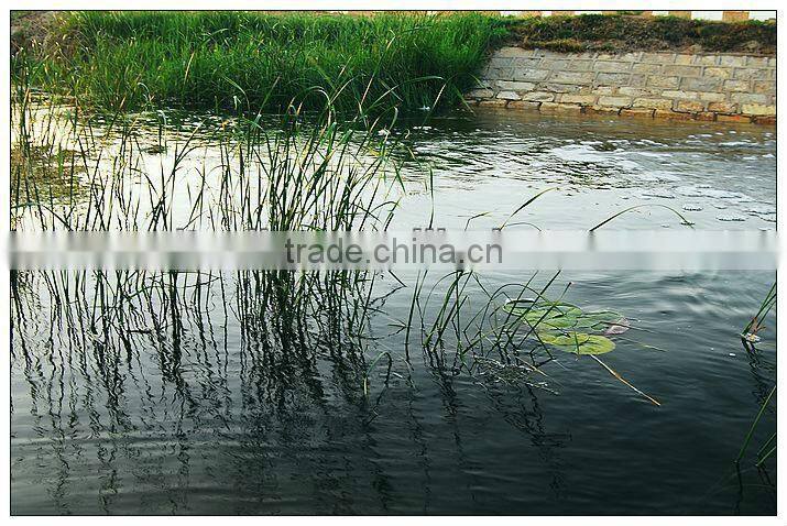 Facial Tissue Paper Consumable