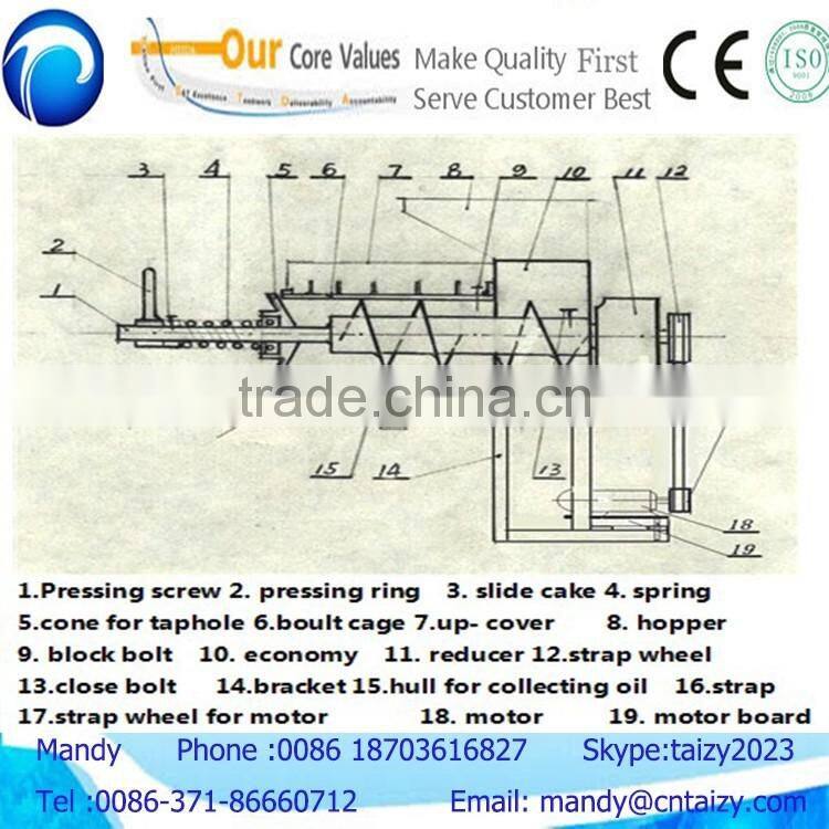 Best selling full automatic palm kernel oil press machine
