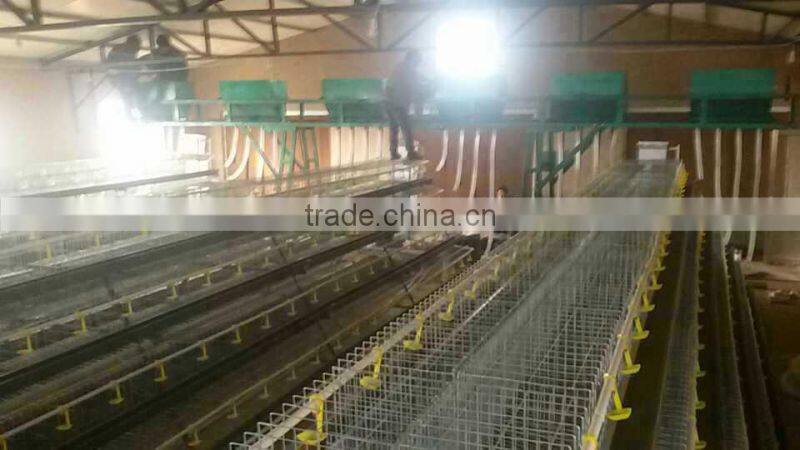 Kenya hot selling best quality battery chicken layer cage