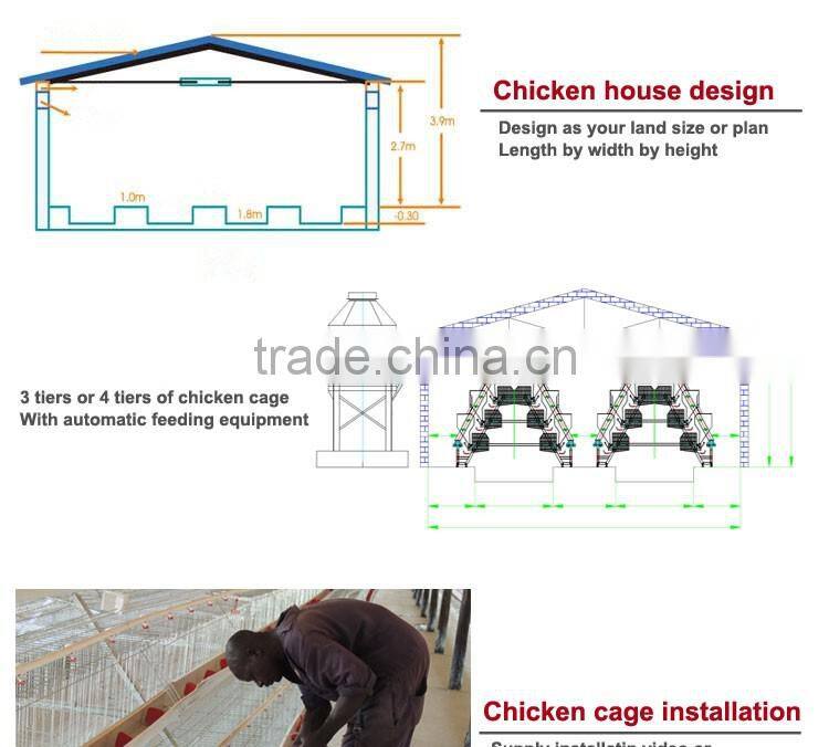 20 years lifespan A type of poultry egg chicken layer cage price