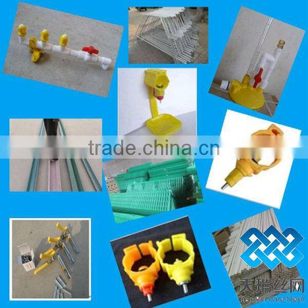 A type 3 layer poultry chicken cages